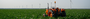 Banner Pagina Old Size 1920 X 400 1